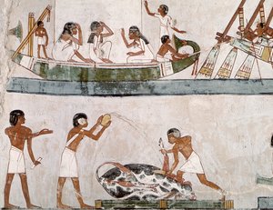 Sacrifice et purification d